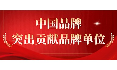 快意电梯获评“突出贡献品牌单位”,树立中国品牌标杆力量